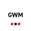 To Fit GWM Car Mats