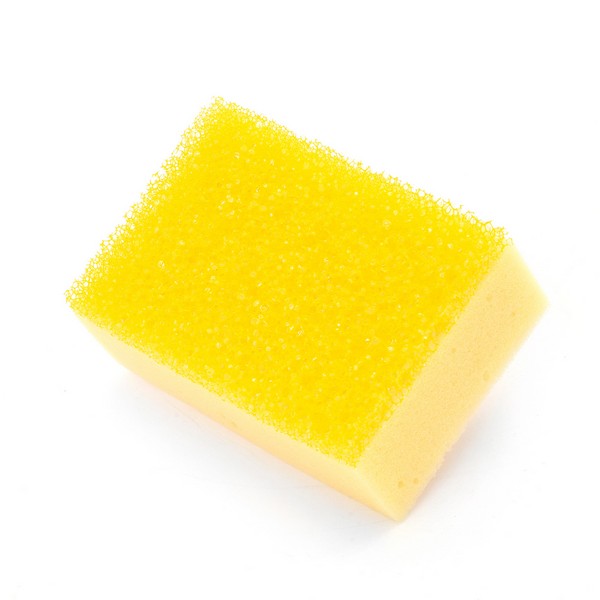 Bug Shifter Sponge Pad